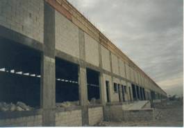 asdf